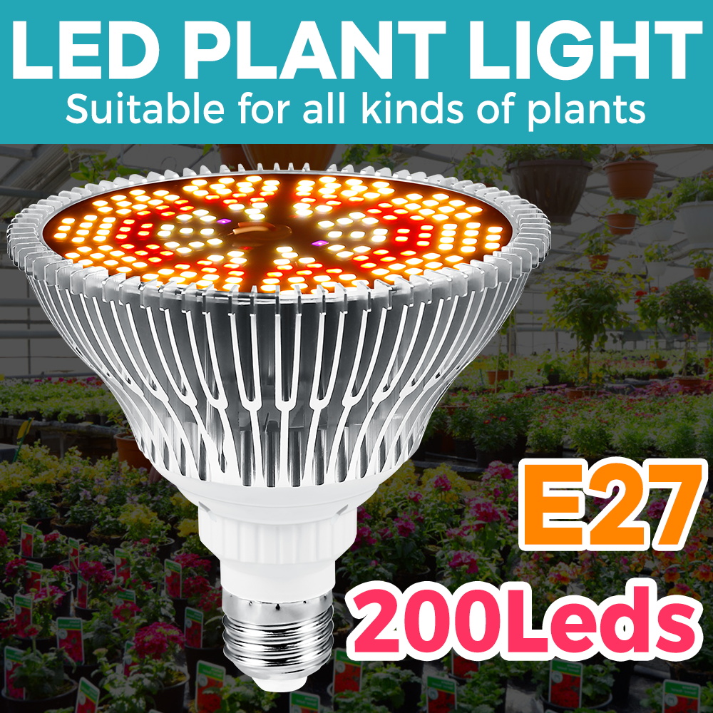 Aquarium Plant Root Tabs - 150W 식물 성장등 LED 식물 성장