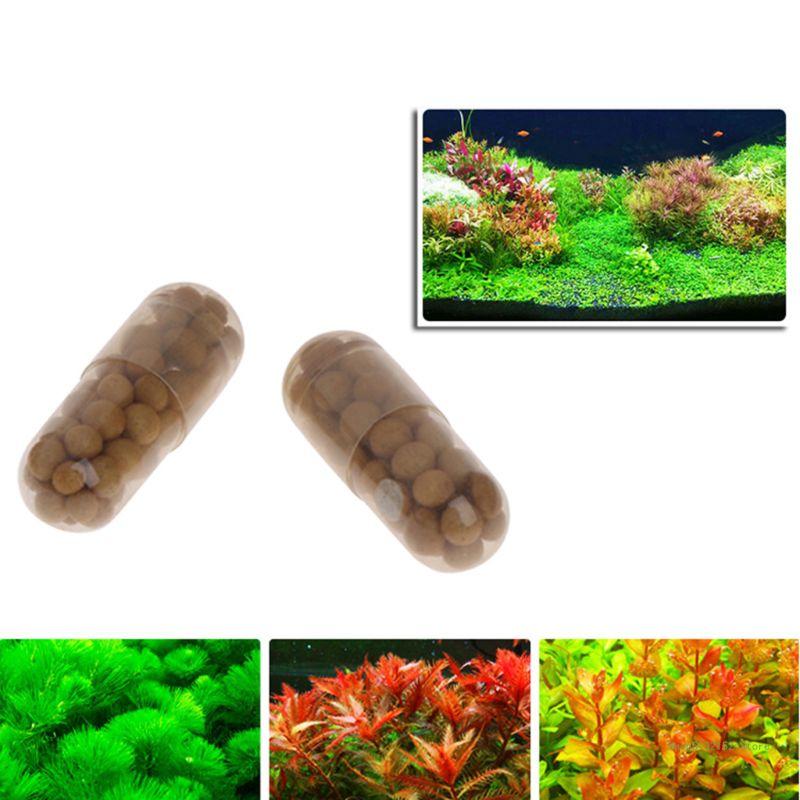 Aquarium Plant Root Tabs - QX2E 수족관 라이브 식물 비료 뿌리