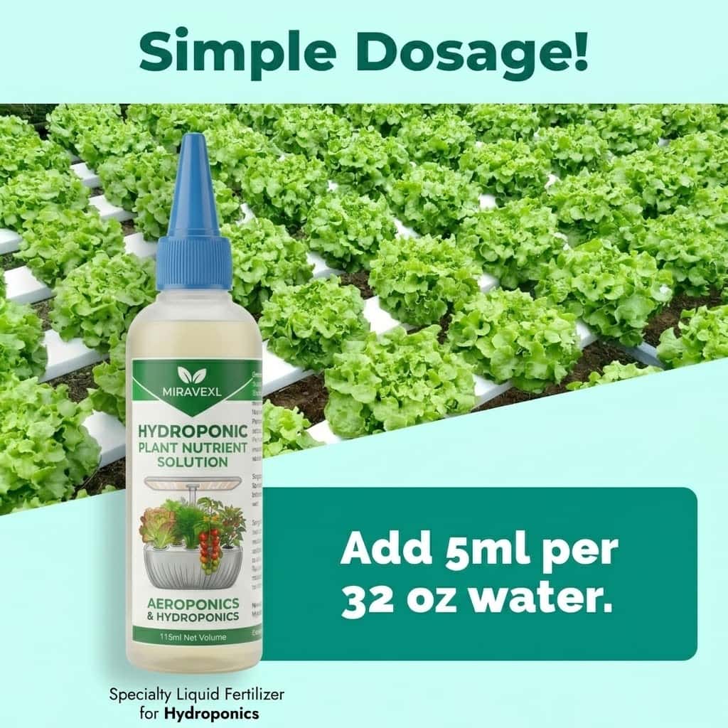 Liquid Fertilizer All In - 미라베엑스엘 수경재배 액체 비료 식물 영양제