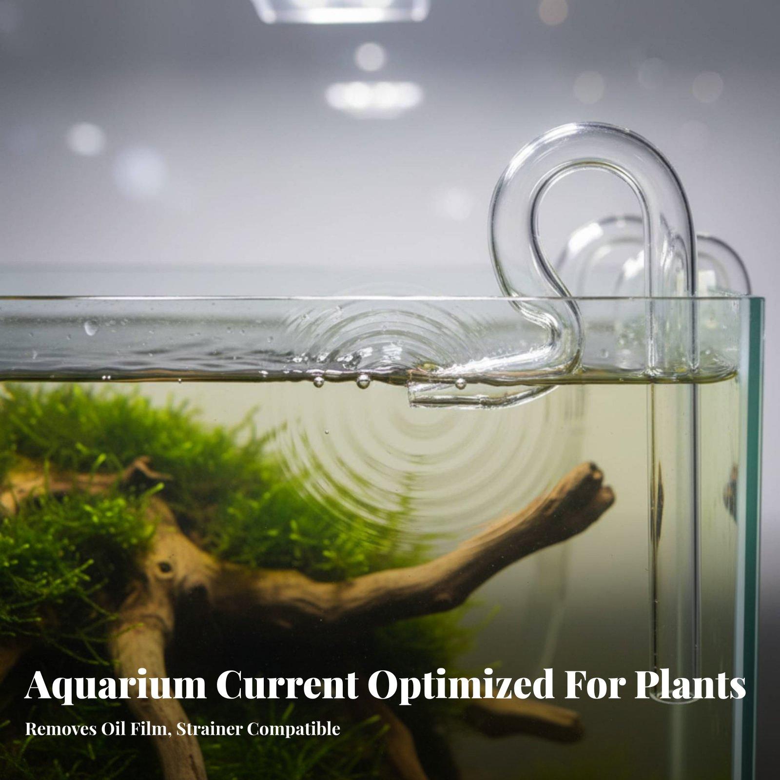 글래스 릴리 파이프 수족관 표면 스키머 입출구 피팅 ( - Aquarium Planted Tank Filter 리뷰 및 가격