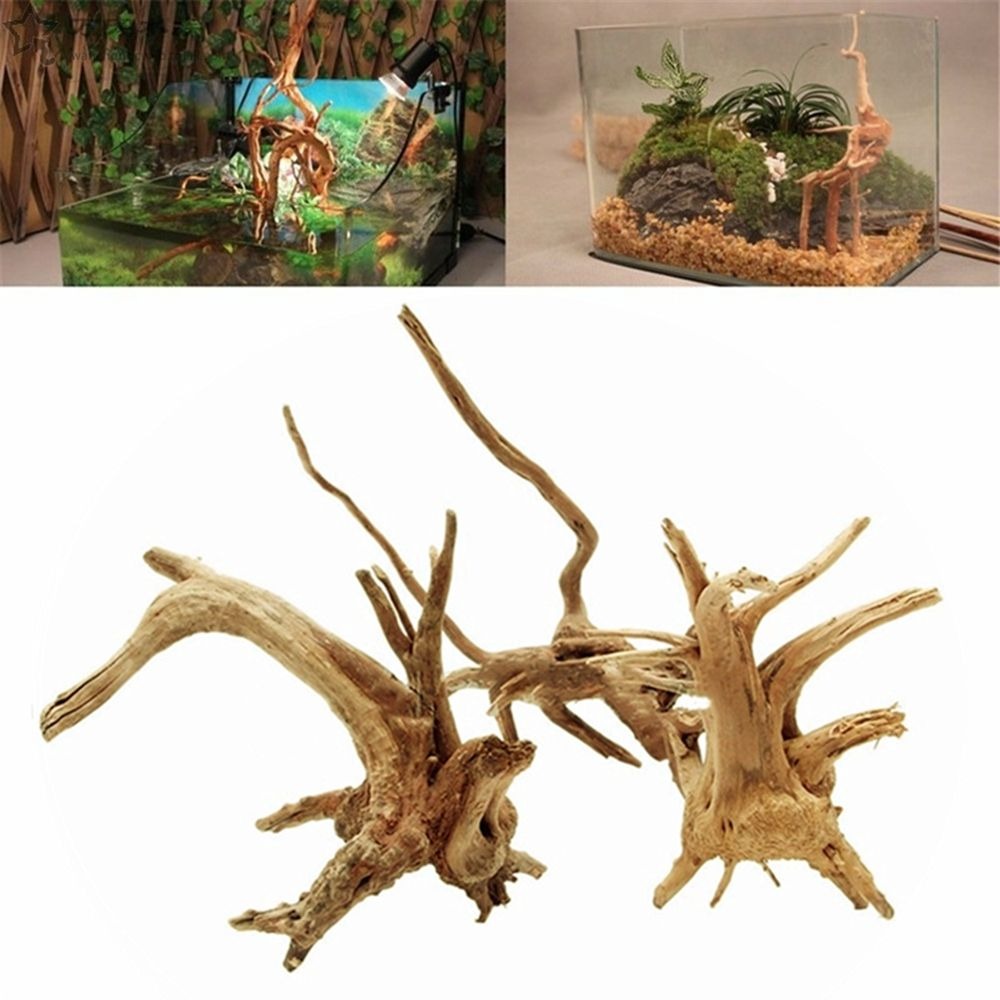 천연 나무 수조 장식, 식물 그루터기 나무 줄기, 유목 - Aquarium Plant Root Tabs 리뷰 및 가격