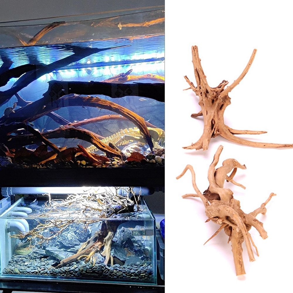 천연 나무 수조 장식, 식물 그루터기 나무 줄기, 유목 - Aquarium Plant Root Tabs 리뷰 및 가격