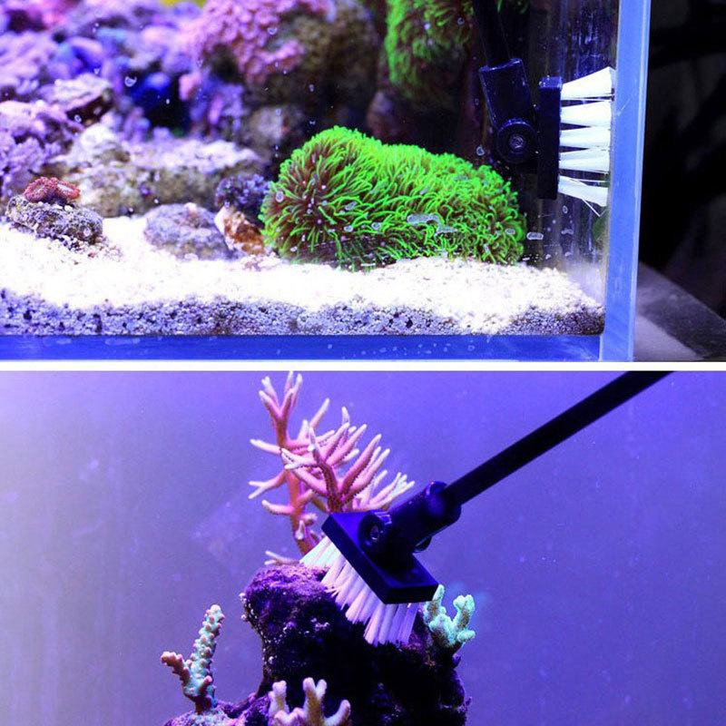 낚시 청소 브러시 ​​식물 탱크 신선한 바다 물 청소  - Planted Aquarium Freshwater 리뷰 및 가격