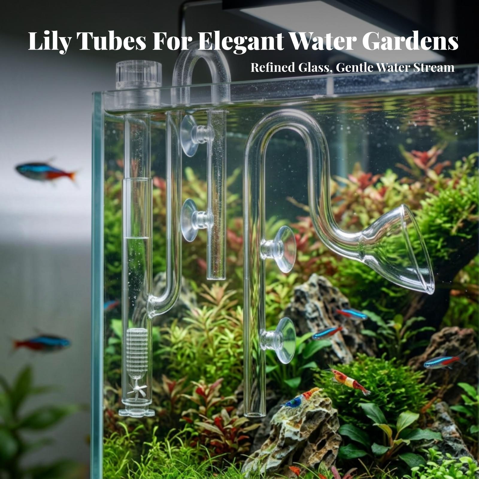 수족관 필터 입구 및 출구 투명 수족관 릴리 파이프 세 - Aquarium Planted Tank Filter 리뷰 및 가격