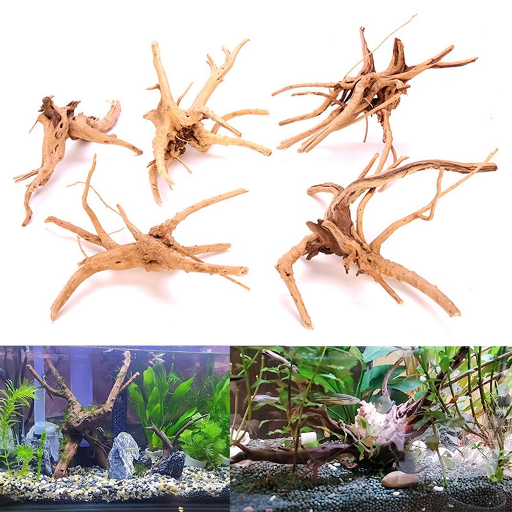 나무 천연 트렁크 유목 나무 수족관 어항 식물 그루터기 - Aquarium Plant Root Tabs 리뷰 및 가격