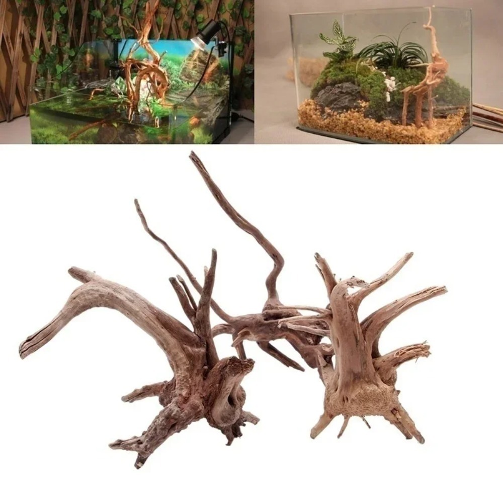 자연 나무 줄기 유목 A 탱크 파충류 2026뿌리 식물 - Aquarium Plant Root Tabs 리뷰 및 가격