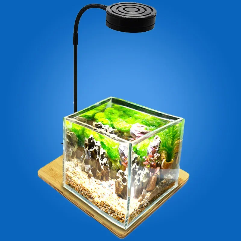 대나무 보드가 있는 미니 LED 수족관 조명, 나노 담 - Planted Aquarium Freshwater 리뷰 및 가격