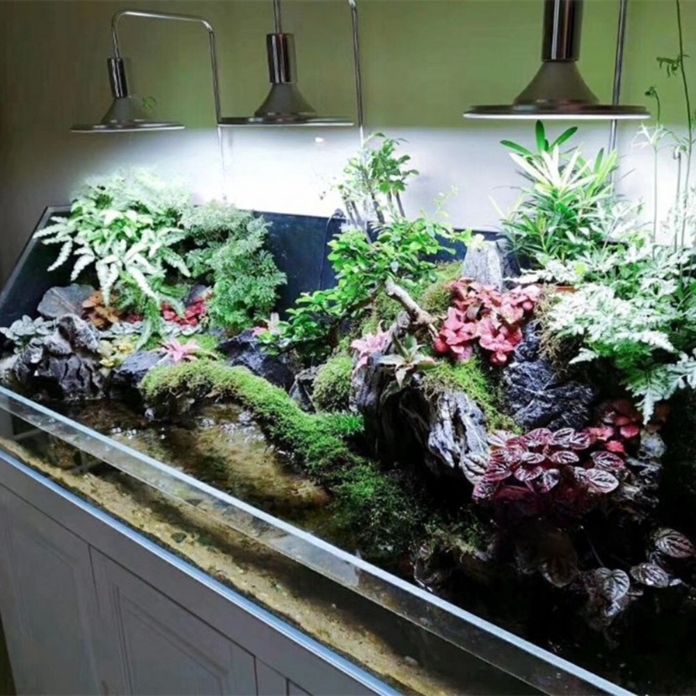 조절 가능한 브래킷이 있는 LED 어항 조명, 풀 스펙 - Planted Aquarium Freshwater 리뷰 및 가격