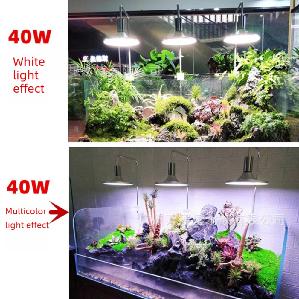 조절 가능한 브래킷이 있는 LED 어항 조명, 풀 스펙 - Planted Aquarium Freshwater 리뷰 및 가격