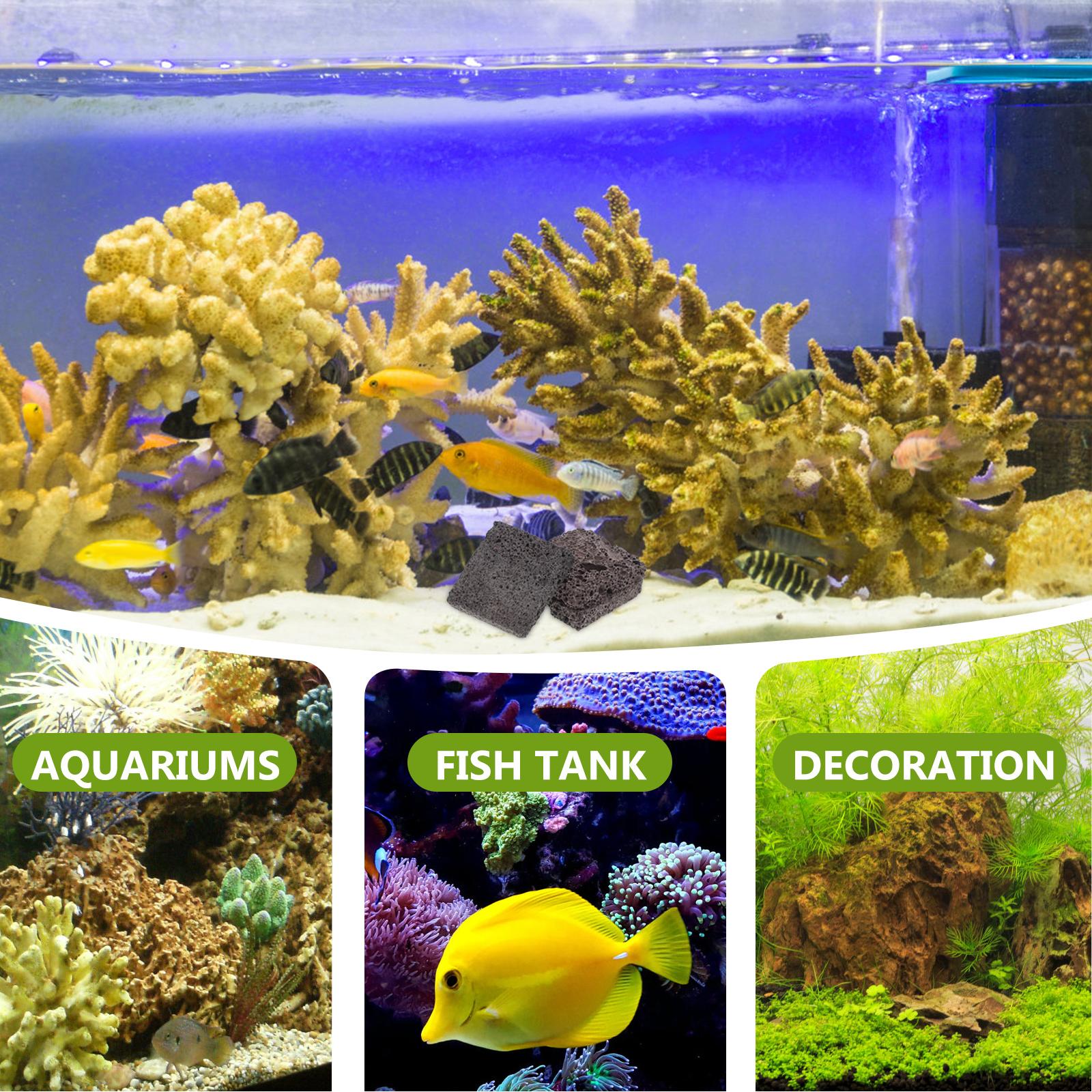   3 Pcs 수생 심기 필름 수족관 바위 동굴 새우  - Aquarium Plant Root Tabs 리뷰 및 가격