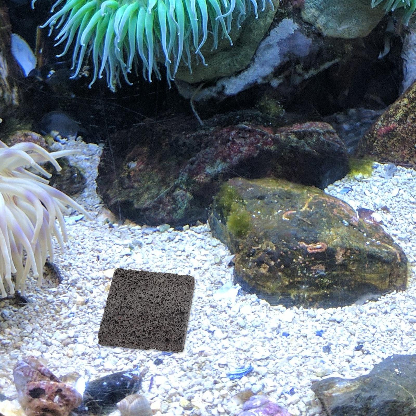   3 Pcs 수생 심기 필름 수족관 바위 동굴 새우  - Aquarium Plant Root Tabs 리뷰 및 가격