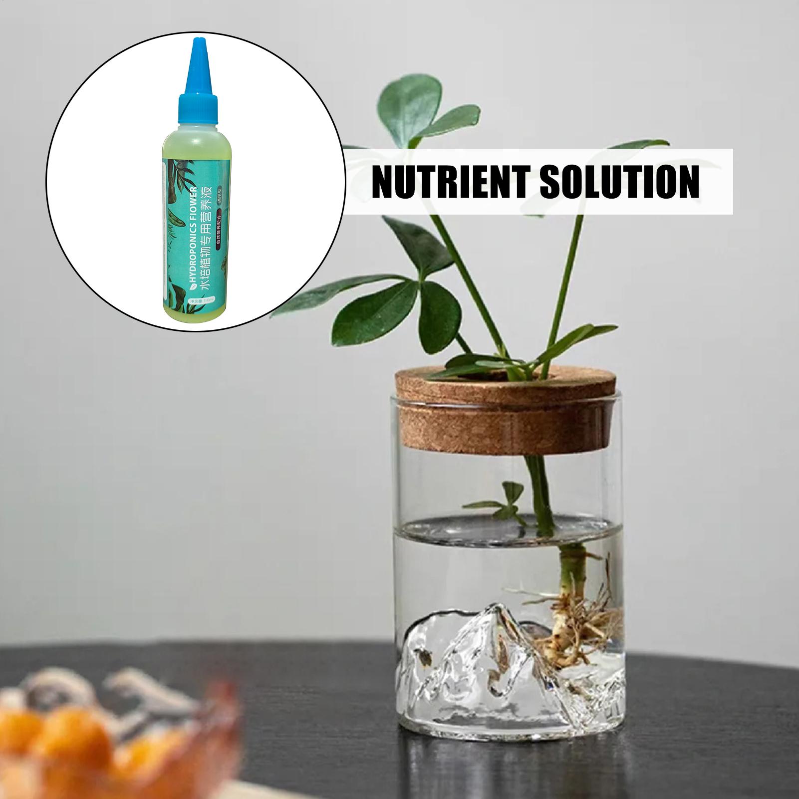 110ml 천천히 방출되는 다목적 성장 액체 비료 수경 - Liquid Fertilizer All In 리뷰 및 가격