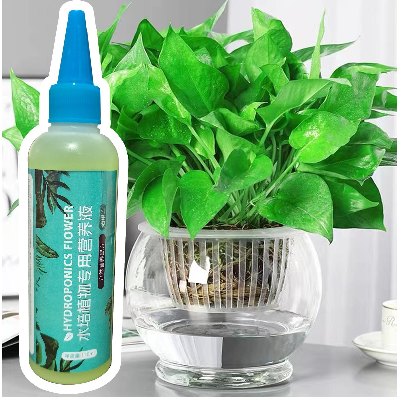 110ml 수경재배 식물 영양액 천천히 풀리는 다목적  - Liquid Fertilizer All In 리뷰 및 가격