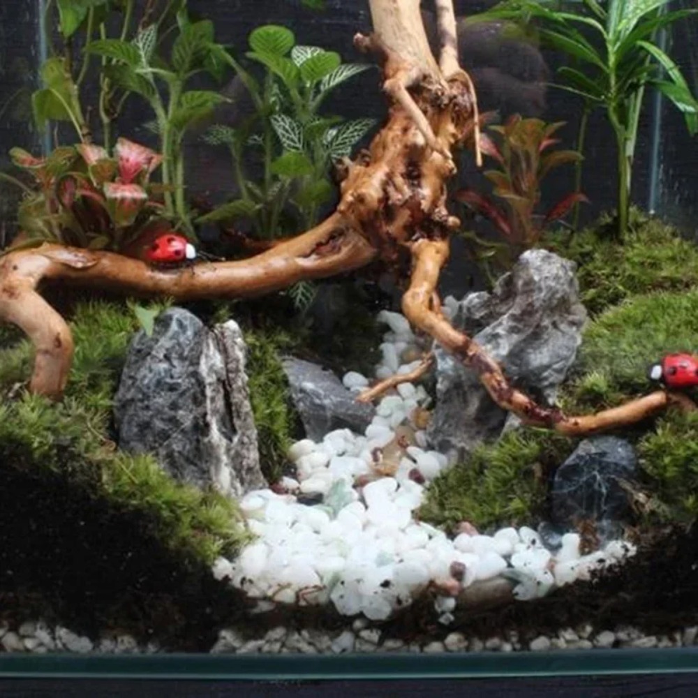 자연 나무 줄기 유목 수족관 어항 파충류 실린더 식물  - Aquarium Plant Root Tabs 리뷰 및 가격