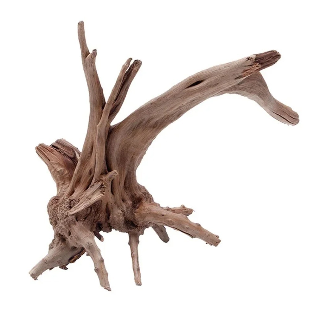 1PC 천연 나무 줄기 유목 A 탱크 파충류 2026뿌 - Aquarium Plant Root Tabs 리뷰 및 가격