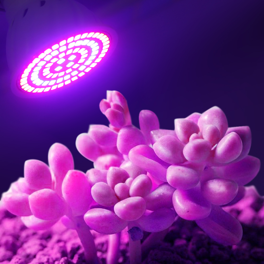 Led 성장 전구 220V E27 60 80LED 전체 - Aquarium Plant Root Tabs 리뷰 및 가격