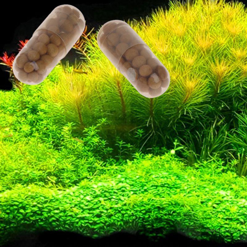 QX2E 수족관 라이브 식물 비료 뿌리 탭 수량 40  - Aquarium Plant Root Tabs 리뷰 및 가격