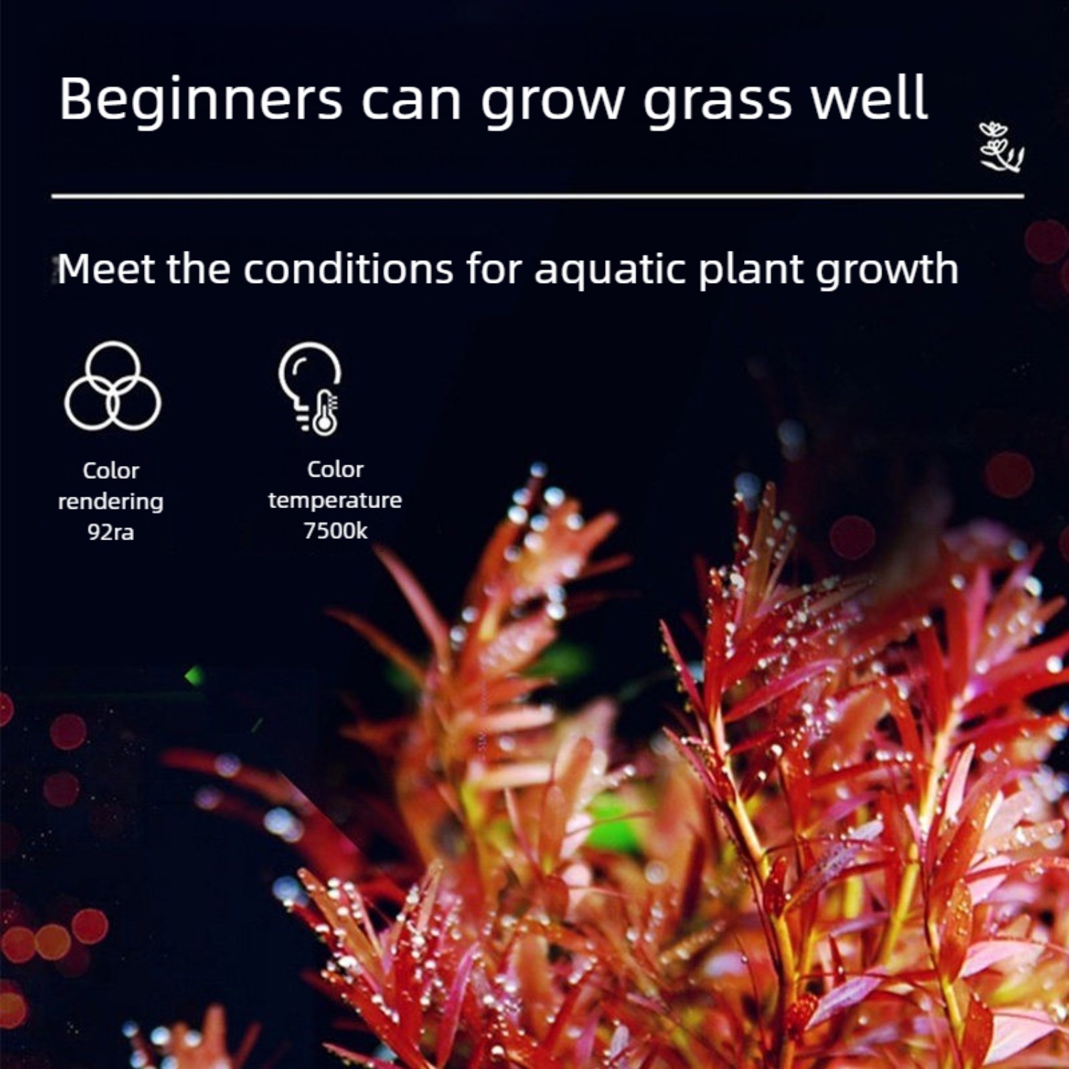 12인치~60인치 담수어 수조 수생 식물용 LED 조명 - Planted Aquarium Freshwater 리뷰 및 가격