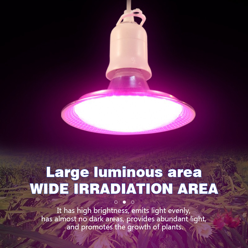 풀 스펙트럼 LED 식물 성장 램프 E27 식물 전구  - Aquarium Plant Root Tabs 리뷰 및 가격