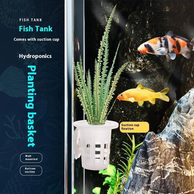 10/20/30Pcs 플라스틱 수족관 심기 컵, 흡착판 - Planted Aquarium Freshwater 리뷰 및 가격