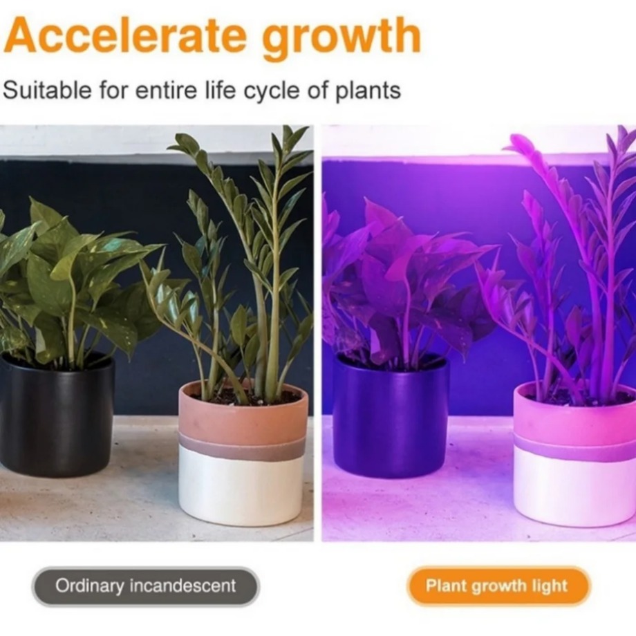 2Pcs LED 성장 전체 스펙트럼 전구 E27 E14 - Aquarium Plant Root Tabs 리뷰 및 가격