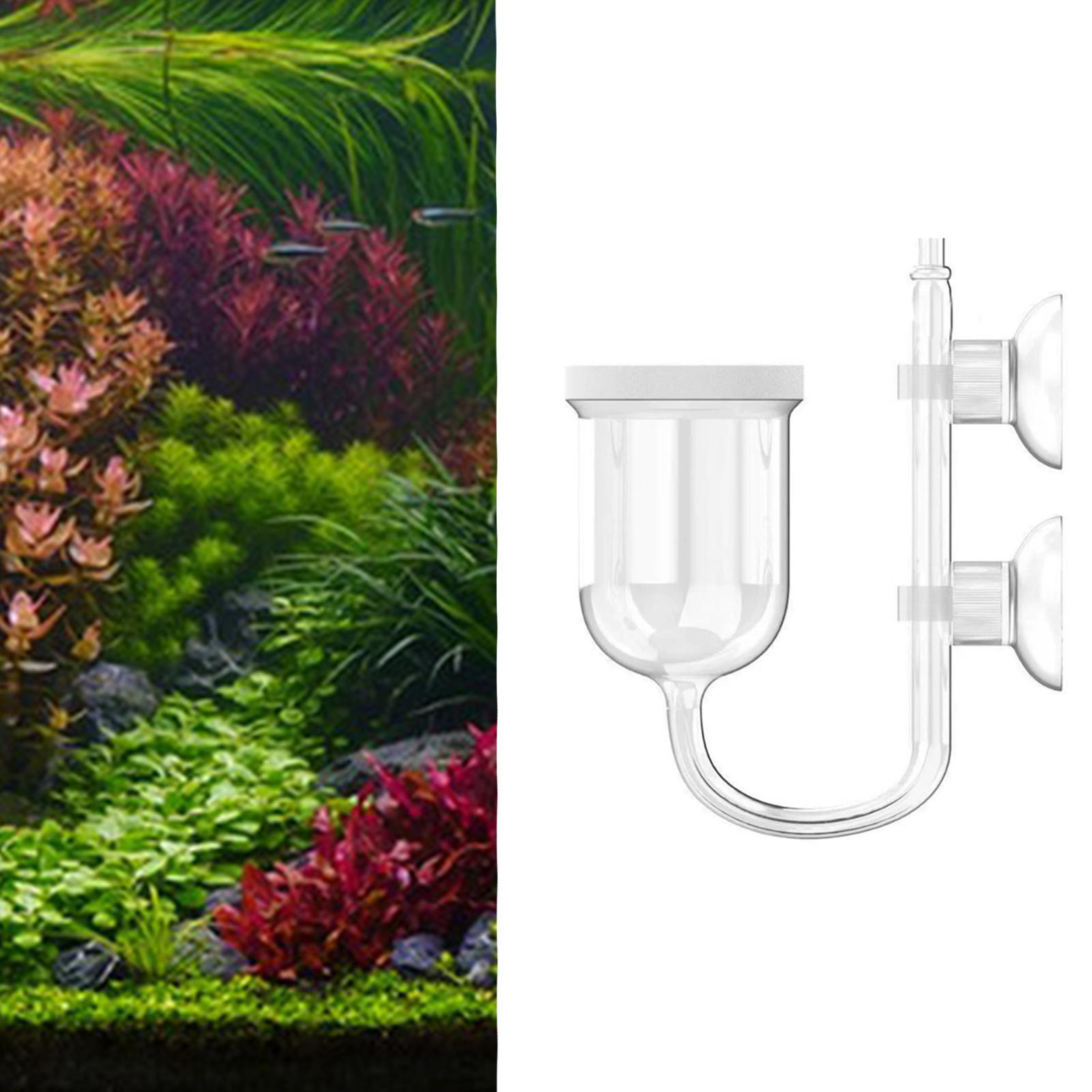 유리 CO2 디퓨저 (투명) - 흡착컵 및 기포 계수기 - Planted Aquarium Co2 System 리뷰 및 가격