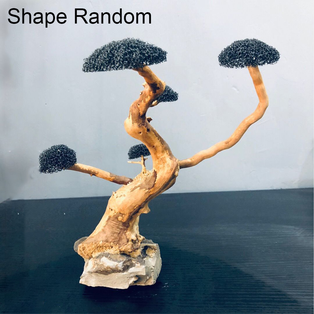 수족관 장식 이끼 드리프트우드 어항 조경 수초 이끼 나 - Aquarium Plant Root Tabs 리뷰 및 가격