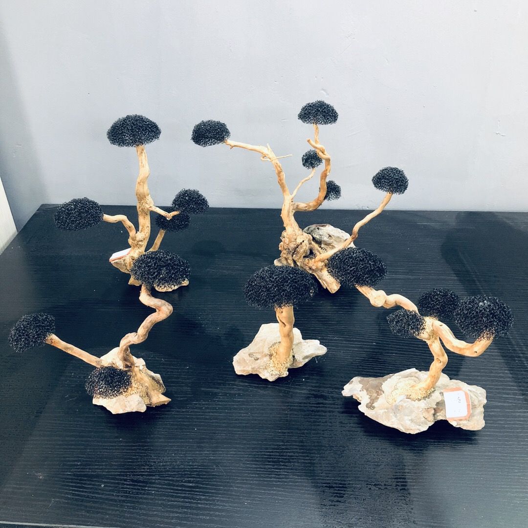 수족관 장식 이끼 드리프트우드 어항 조경 수초 이끼 나 - Aquarium Plant Root Tabs 리뷰 및 가격